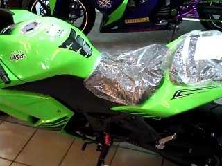 Evangelion Ninja 250  EVA-1 EVA-2