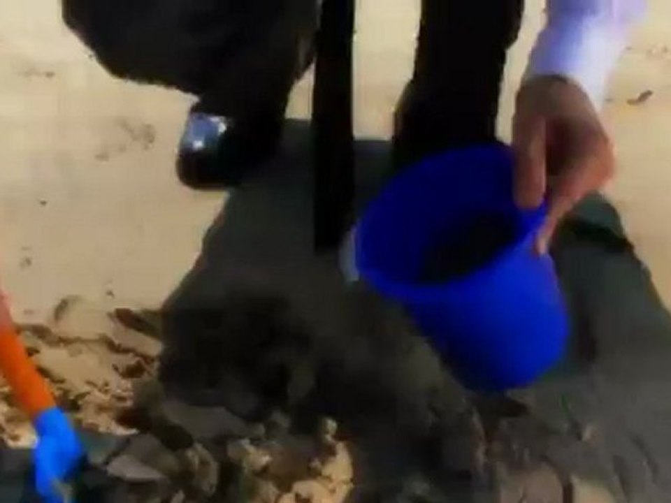 Max x. y el cansancio - El curioso mundo de max x. | Euromaxx