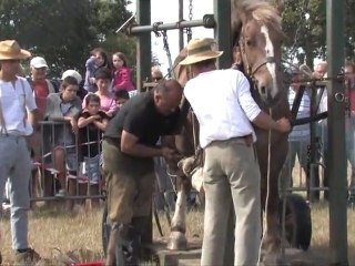 Les Vieux Métiers Hénansal 2012