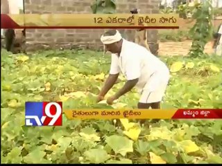 Prisoners start farming in jails