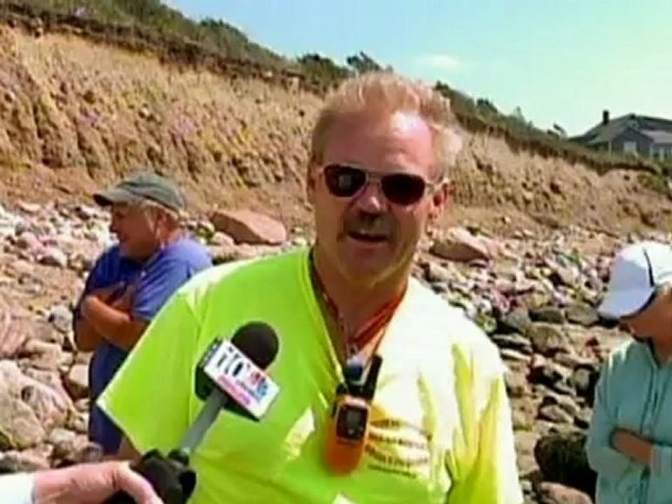 Great white shark washes up on New England beach