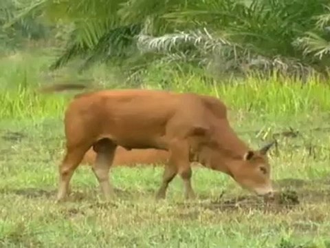 เปิดปม 30912