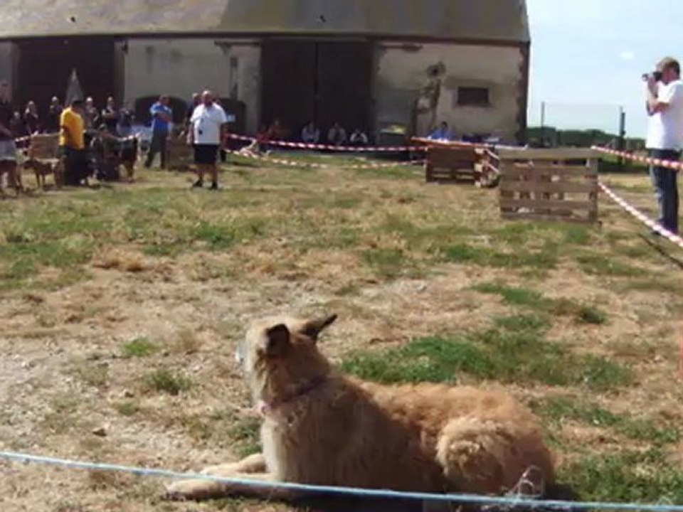 pas bougé pile poil show