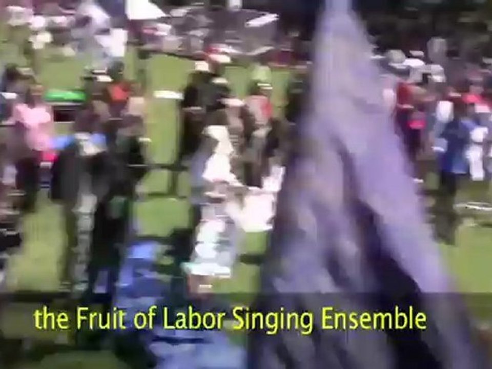 DNC March on Wall Street South