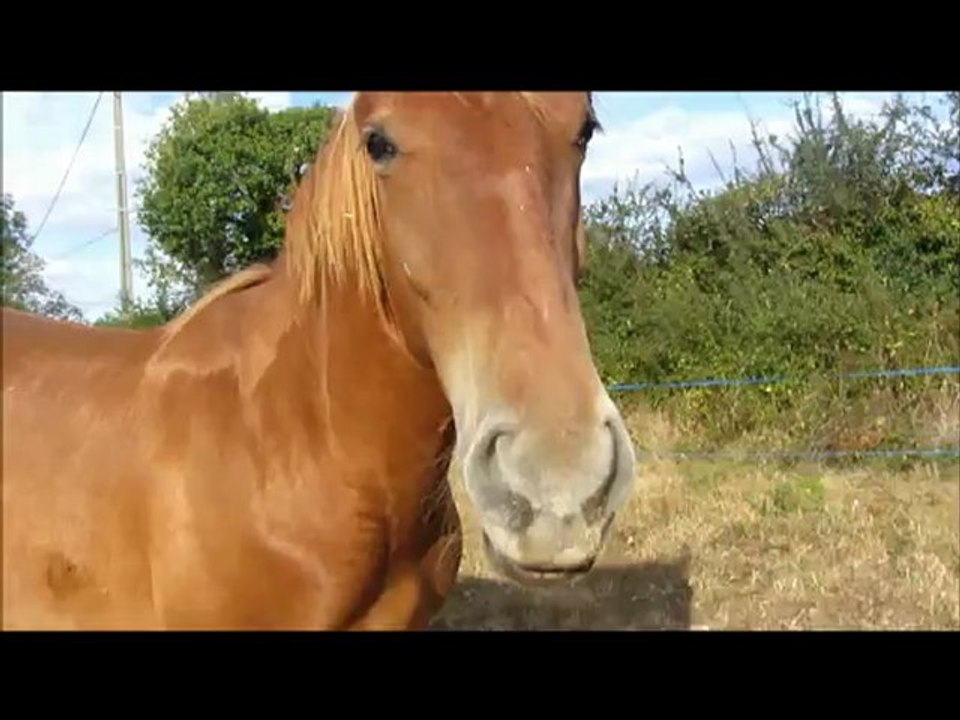Mon film Sur Binji !