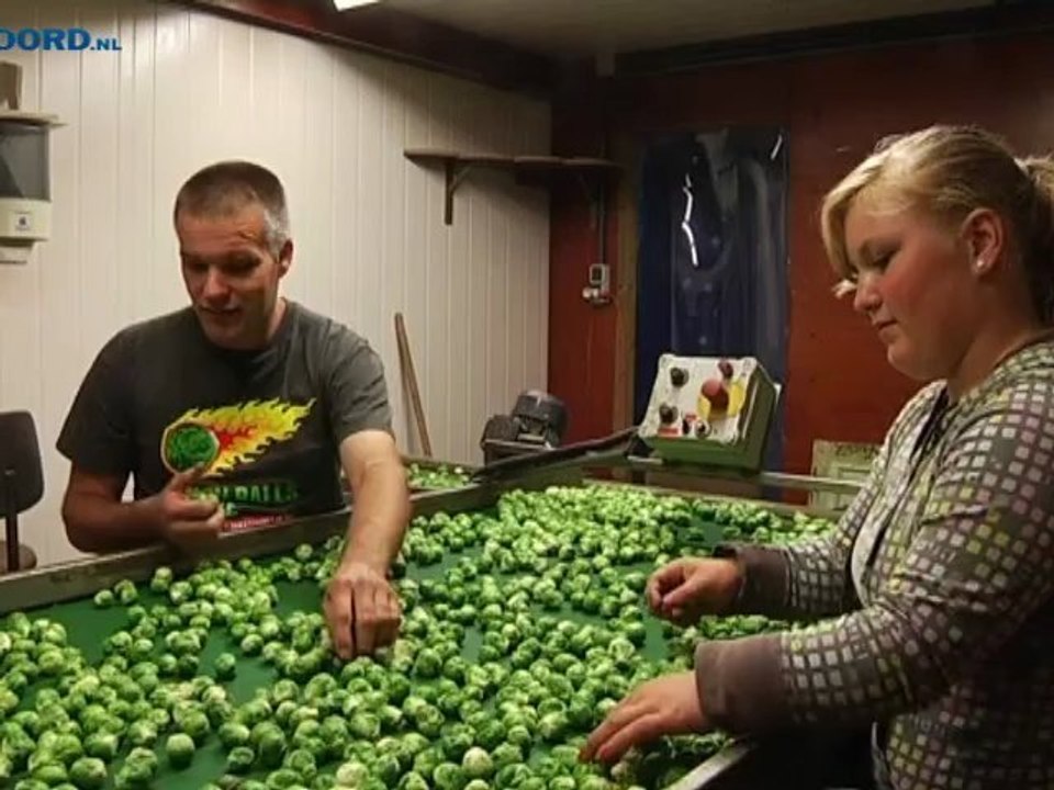 Johan zoekt verder, zonder Boer zoekt Vrouw - RTV Noord