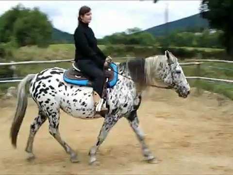 Séance 03 Septembre