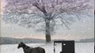 Christian Book Review: Amish Winter Wonderland: BOOK TWO (Jacob's Daughter (An Amish, Christian Romance)) by Samantha Jillian Bayarr