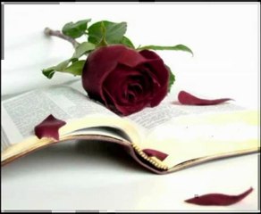 saat 12 şiir- melek nur www.akyaziforum.com