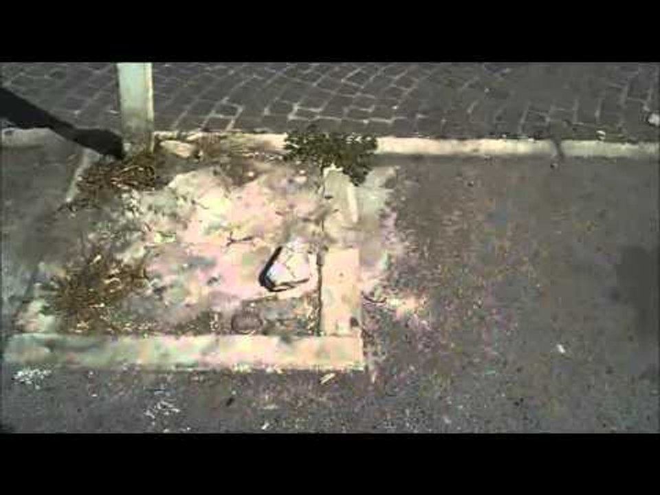 Aversa - Rifiuti, scarsa igiene in viale Europa (29.08.12)