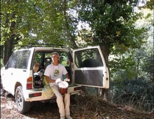 Conversation with birds