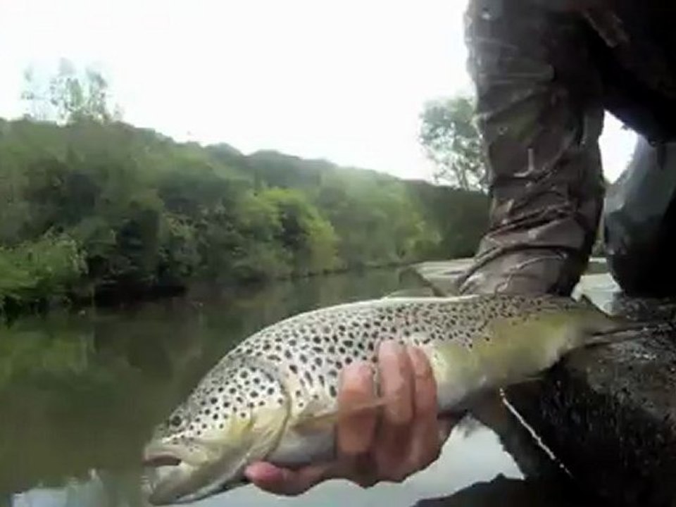 Une truite panthère au rapala squad minnow.