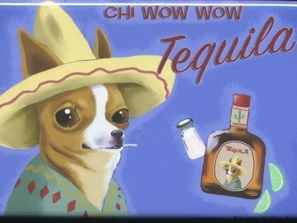 Tequila Dog