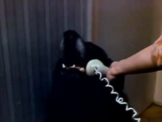 First [YTP] Hello yes ! This is MORSAY !