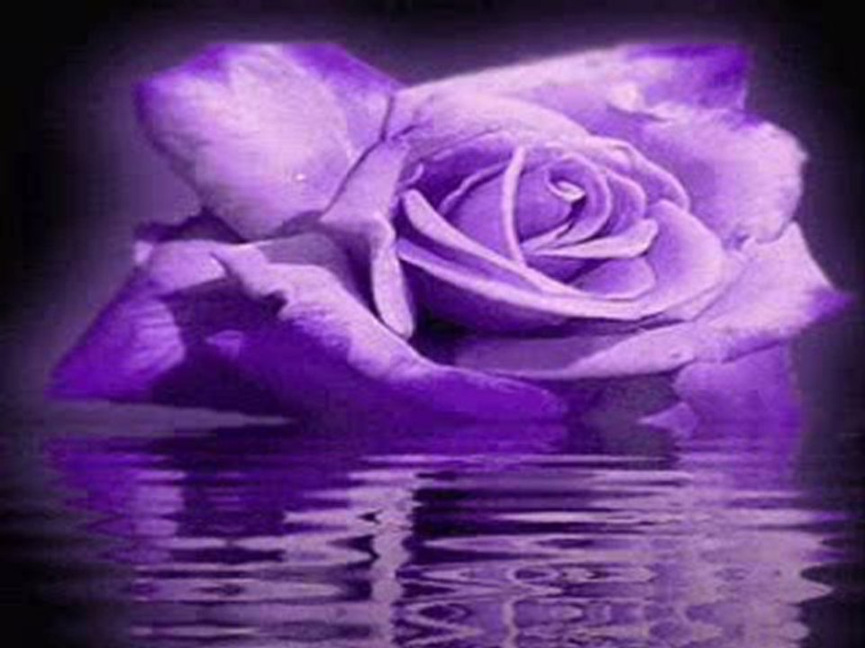 Eclipse total de amor - instrumental