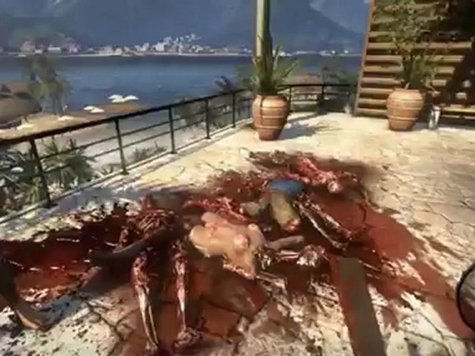 DIC 2