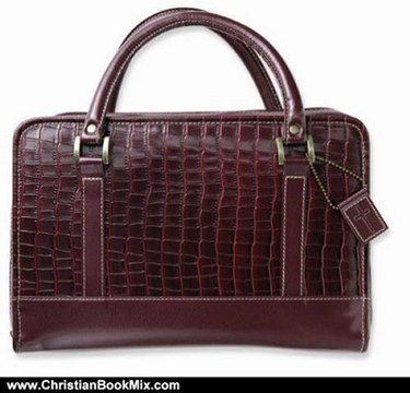 Christian Book Review: Reptile Cherry Bible Cover LG by Zondervan