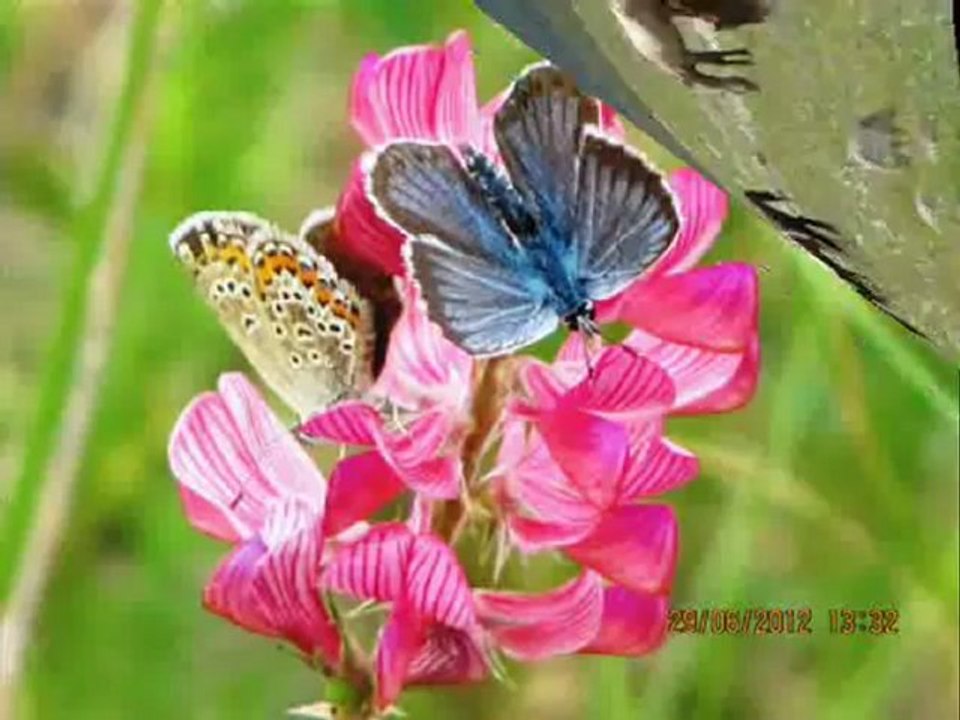 İSMAİL AVCI + Ardahan Kars ığdır Resimleri @ MEHMET ALİ ARSLAN Videos