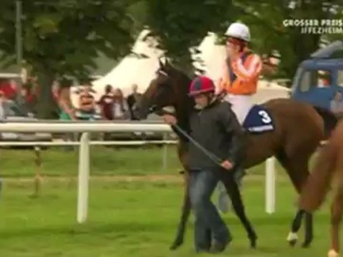 02.09.2012 Baden-Baden (GER) 7.Race Großer Preis von Baden 2012 - Group I 2.400 m Winner:Danedream