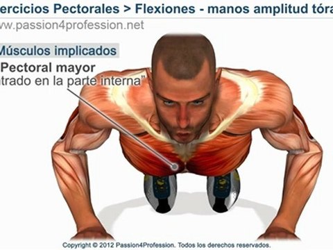 Como hacer flexiones, ejercicios FLEXIONES, flexiones pectorales - manos amplitud tórax