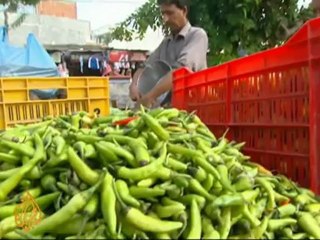 India offers Pakistani Hindus safe haven