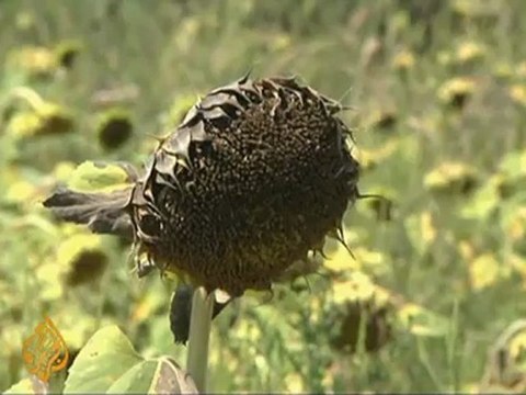 Balkans hit by worst drought in decades