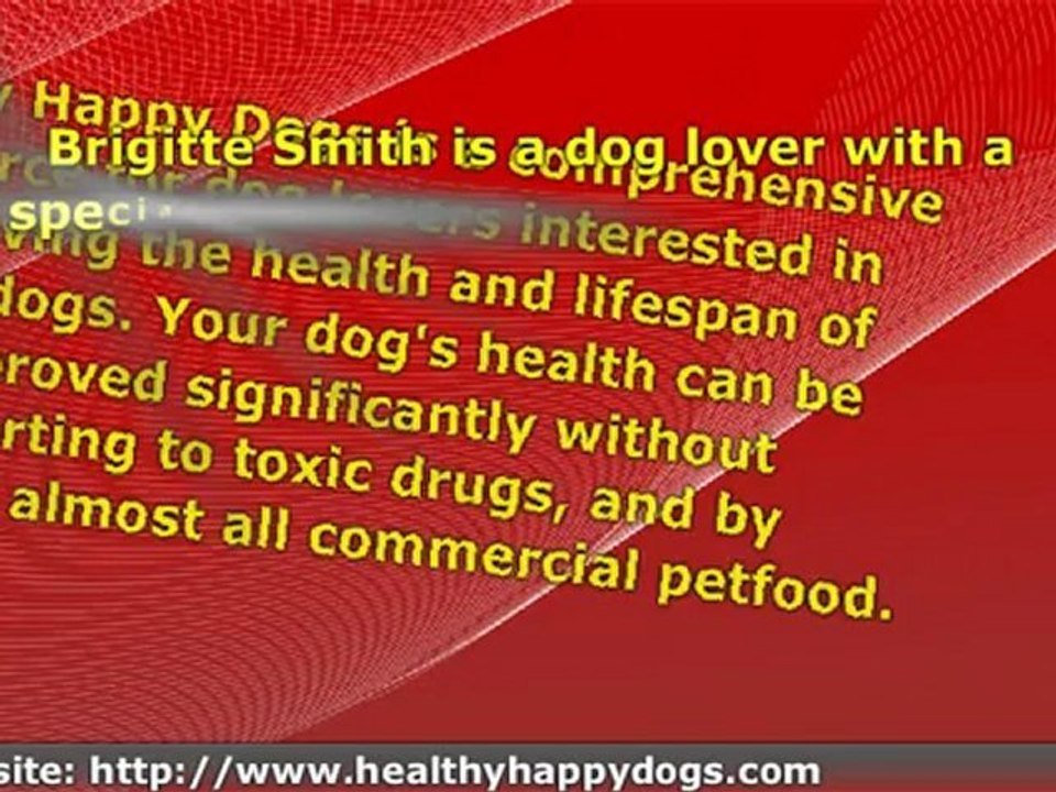 Your Dog's Health Is At Risk!