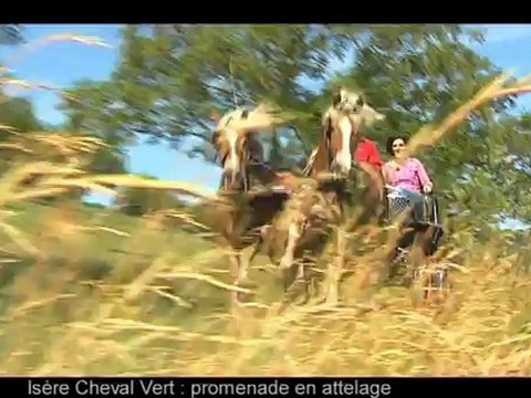 Isère Cheval Vert - Attelage