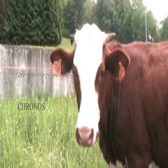 La plus belle  c'est moi !  ( star people  !  )