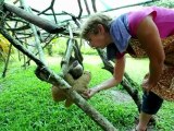 Un santuario para perezosos