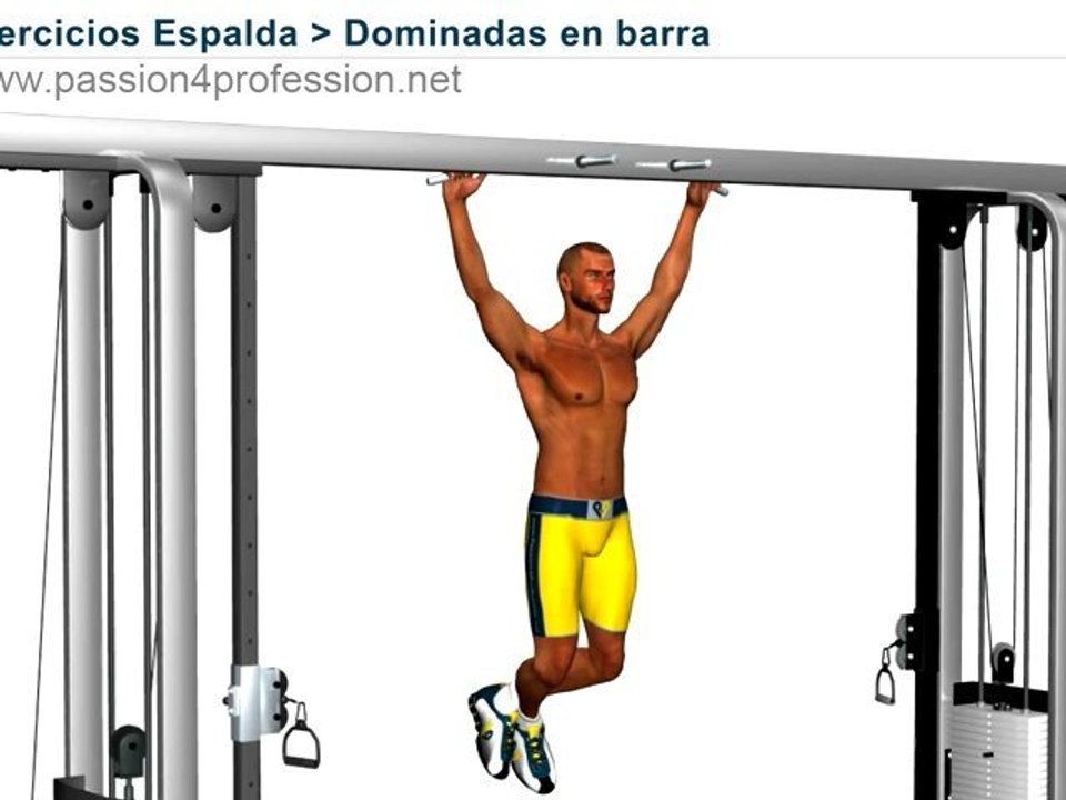 Dominadas en barra ( Ejercicios Espalda )