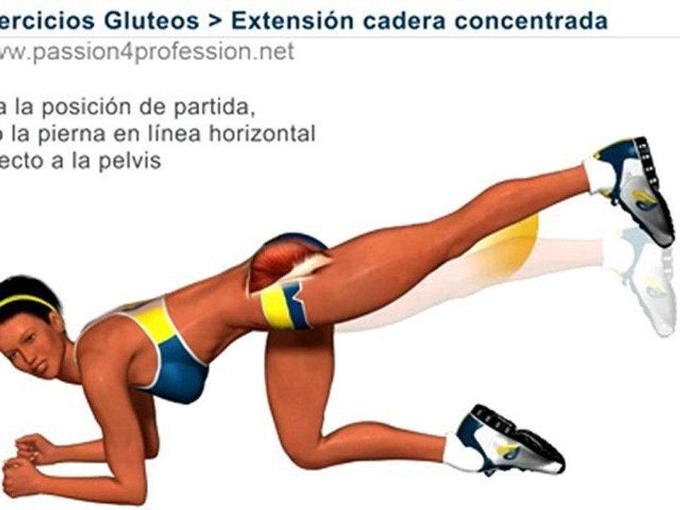 Ejercicio para trasero (musculos nalgas):  extensión cadera concentrada