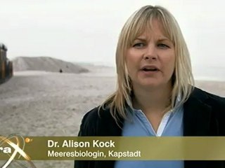 Universum der Ozeane - 2