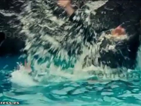 John Travolta recibirá el premio Donostia