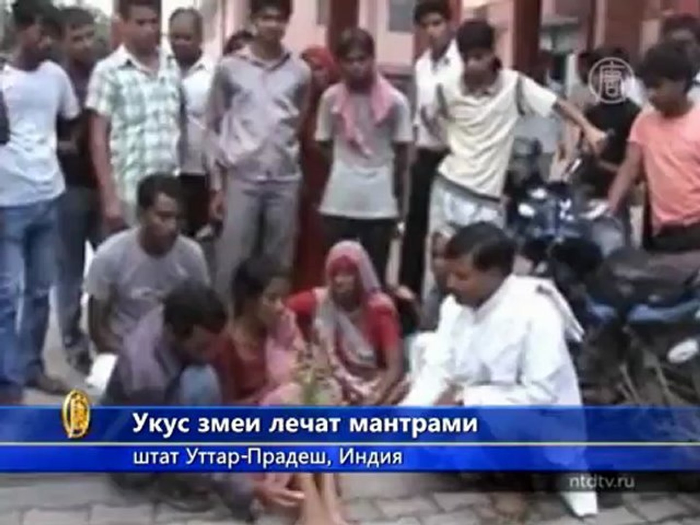 ⁣В Индии укус змеи лечат мантрами