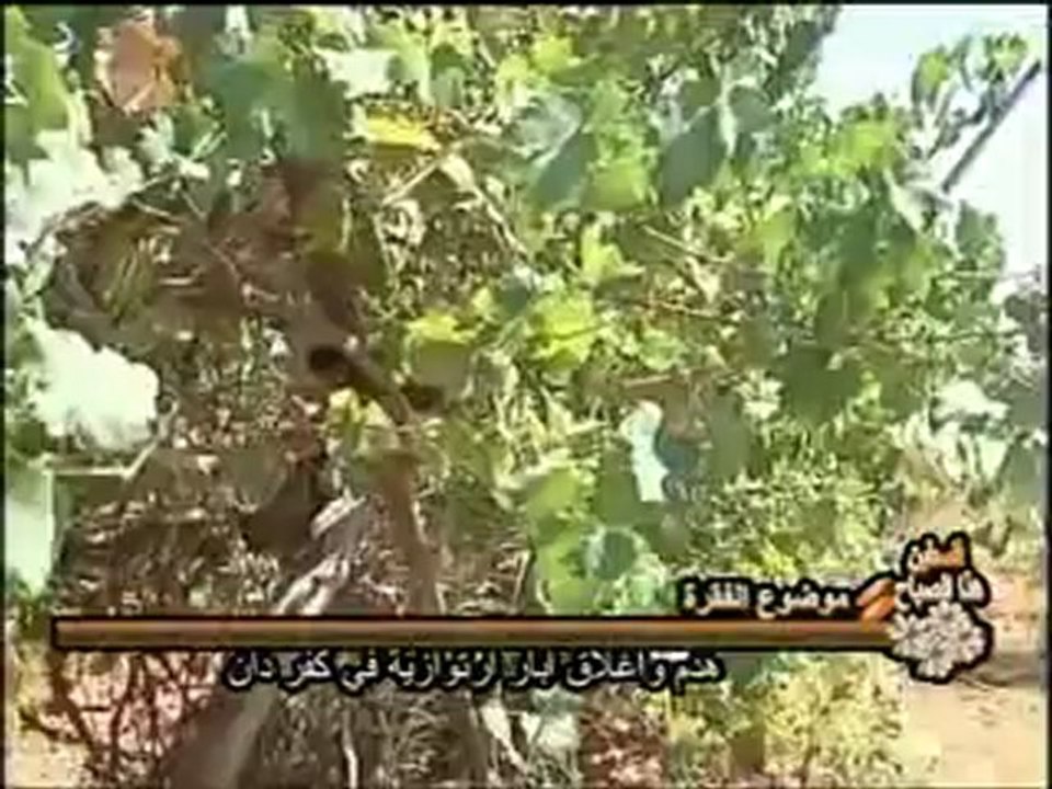 فلسطين هذا الصباح 4-9_chunk_1~1