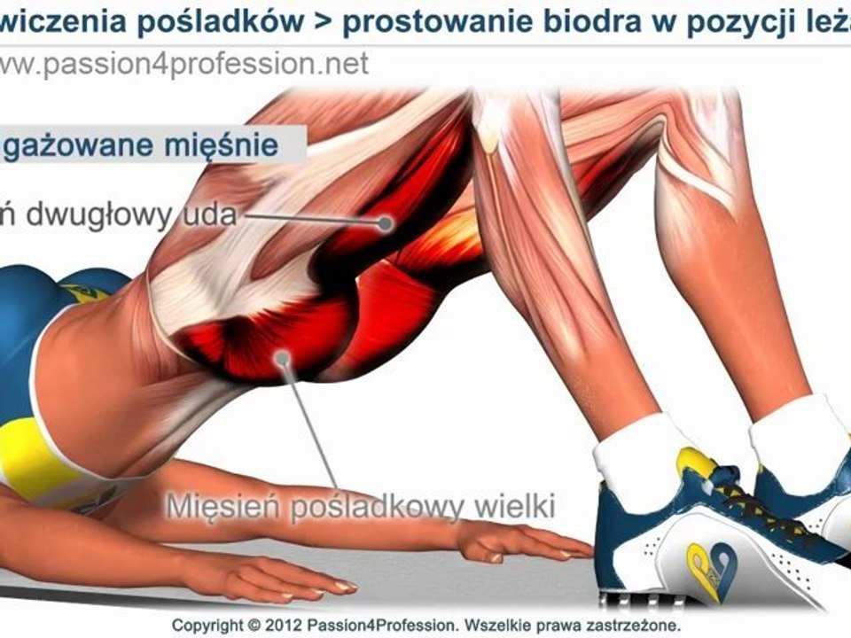 Ćwiczenia na pośladki i uda - jędrne pośladki SZYBKO - ćwiczenia biodra