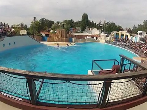 spectacle de dauphins au parc astérix