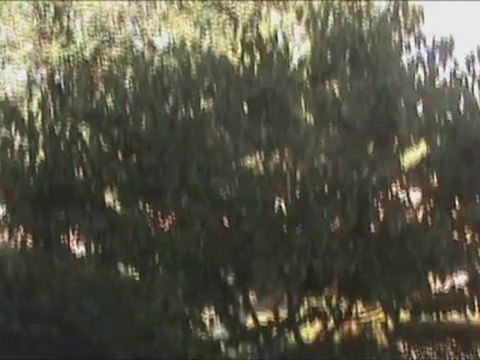 Appartement 2 Pièces Cliona, 06530 Peymeinade