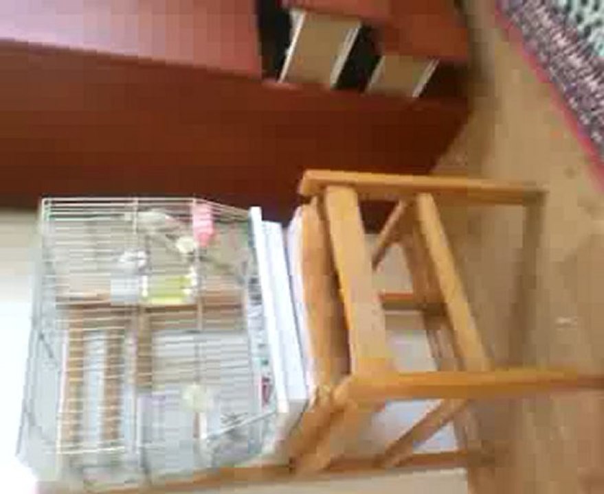 VID_20120819_025152