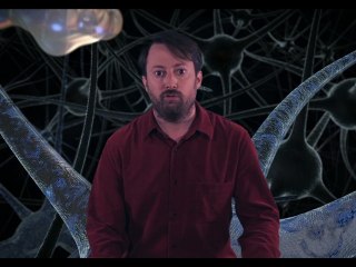 Taste | David Mitchell's Soapbox