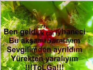 Polemick ft. Vale - Tribal Enfeksiyon