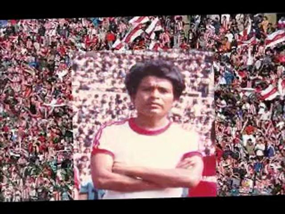MARADO 2 DEL PERU