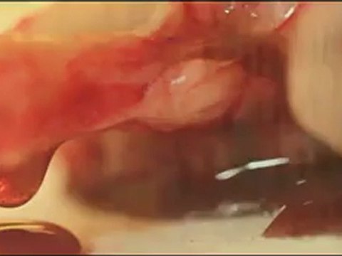 [MV] 4Minute - Over And Over (R.Tee Mix)