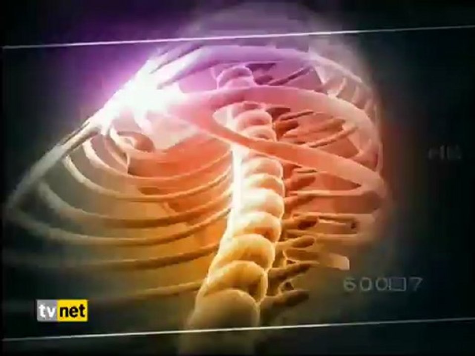 Poliklinik 28.8.2012