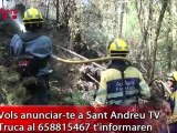 040912 dades incendis forestals segona quinzena agost 2012