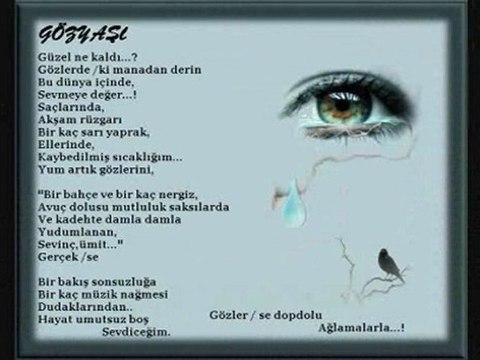 SLM SeSLİNeSe SeReN - Ebru Genç_5