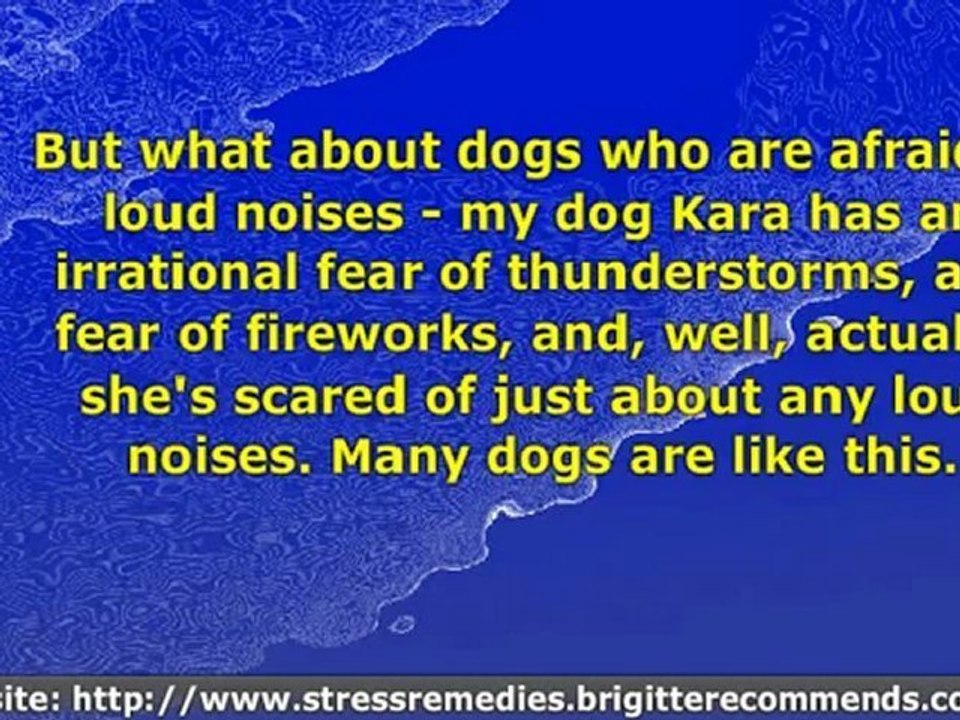 How To Deal Anxiety in Your Dog