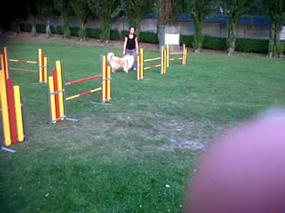 Flya agility