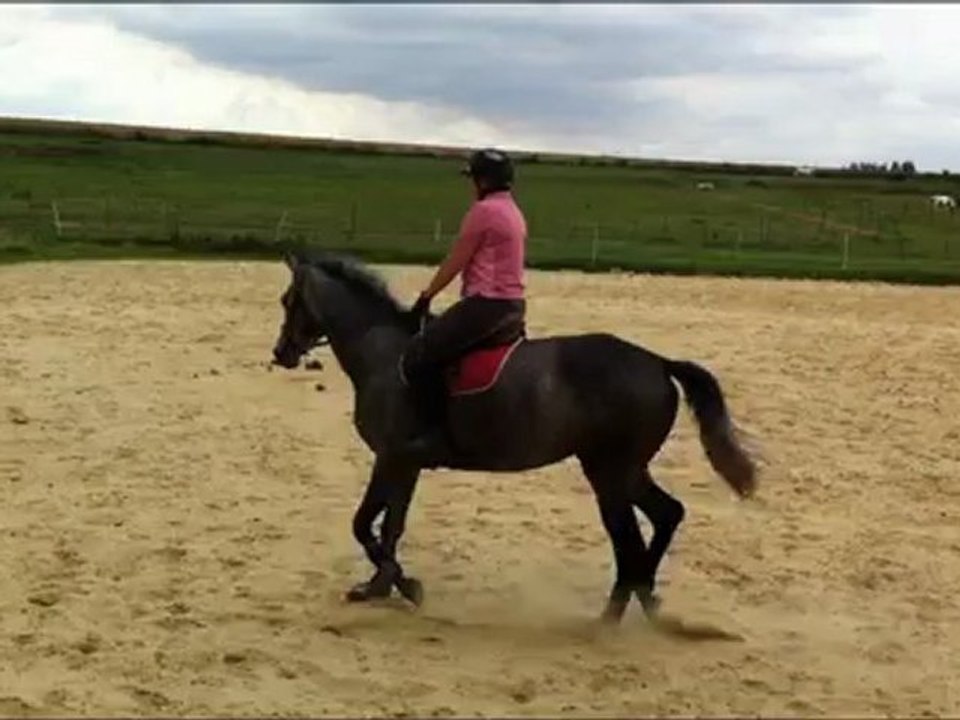 Vivaldie 1 sept 2012